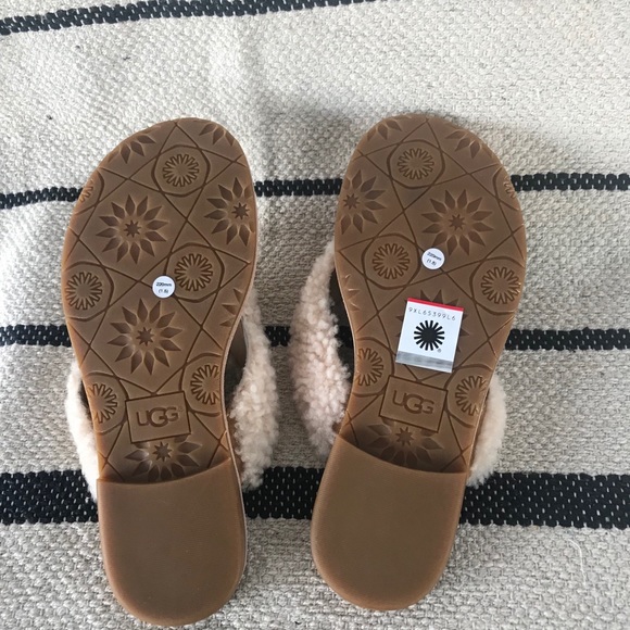NW UGG Alicia Sheepskin Flip Flop Sandals - Picture 6 of 6